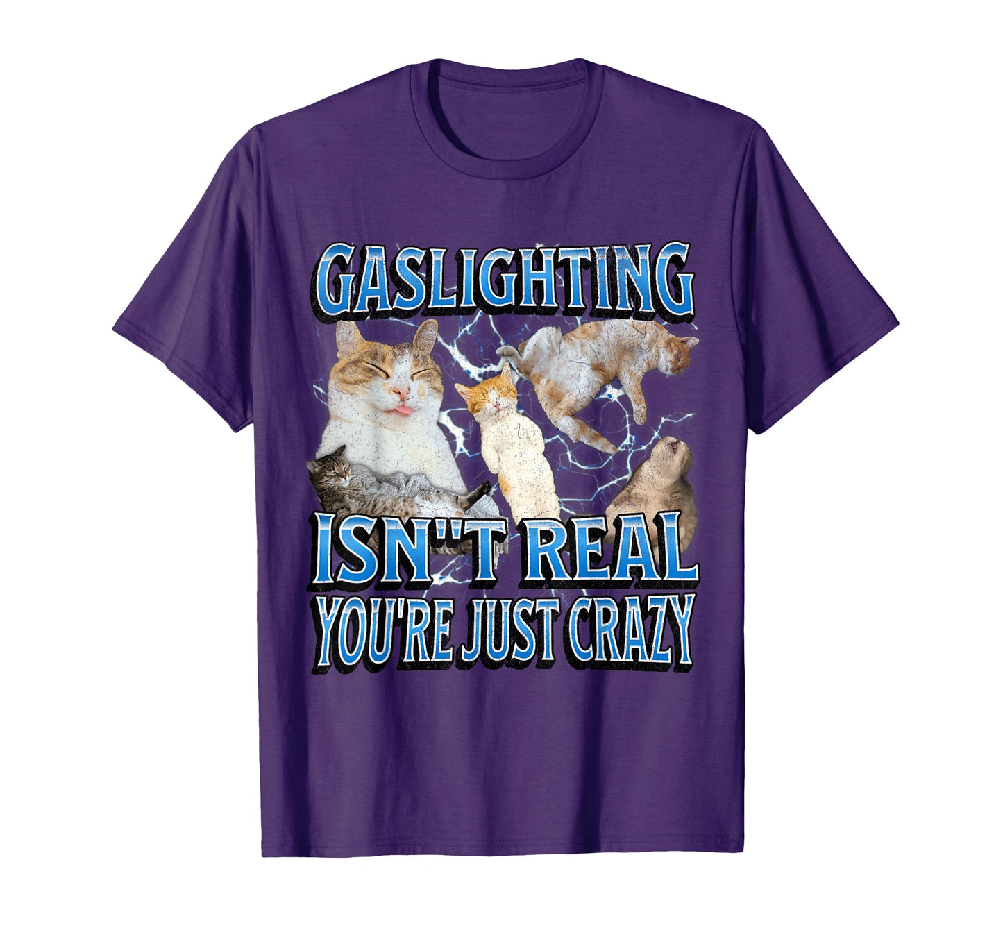 Gaslighting Isn't Real Funny Cat Meme Bootleg Graphic T-Shirt for Men Women