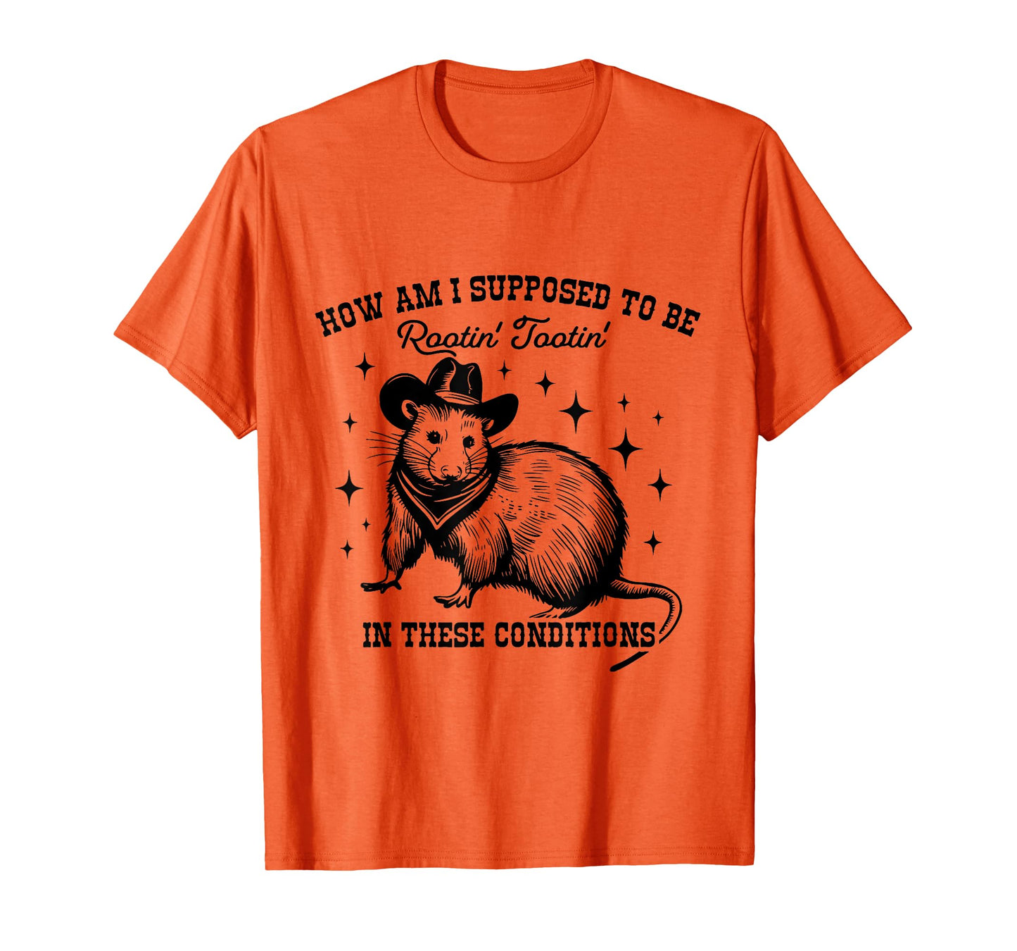 How Am I Supposed to be Rootin' Tootin' In These Conditions T-Shirt