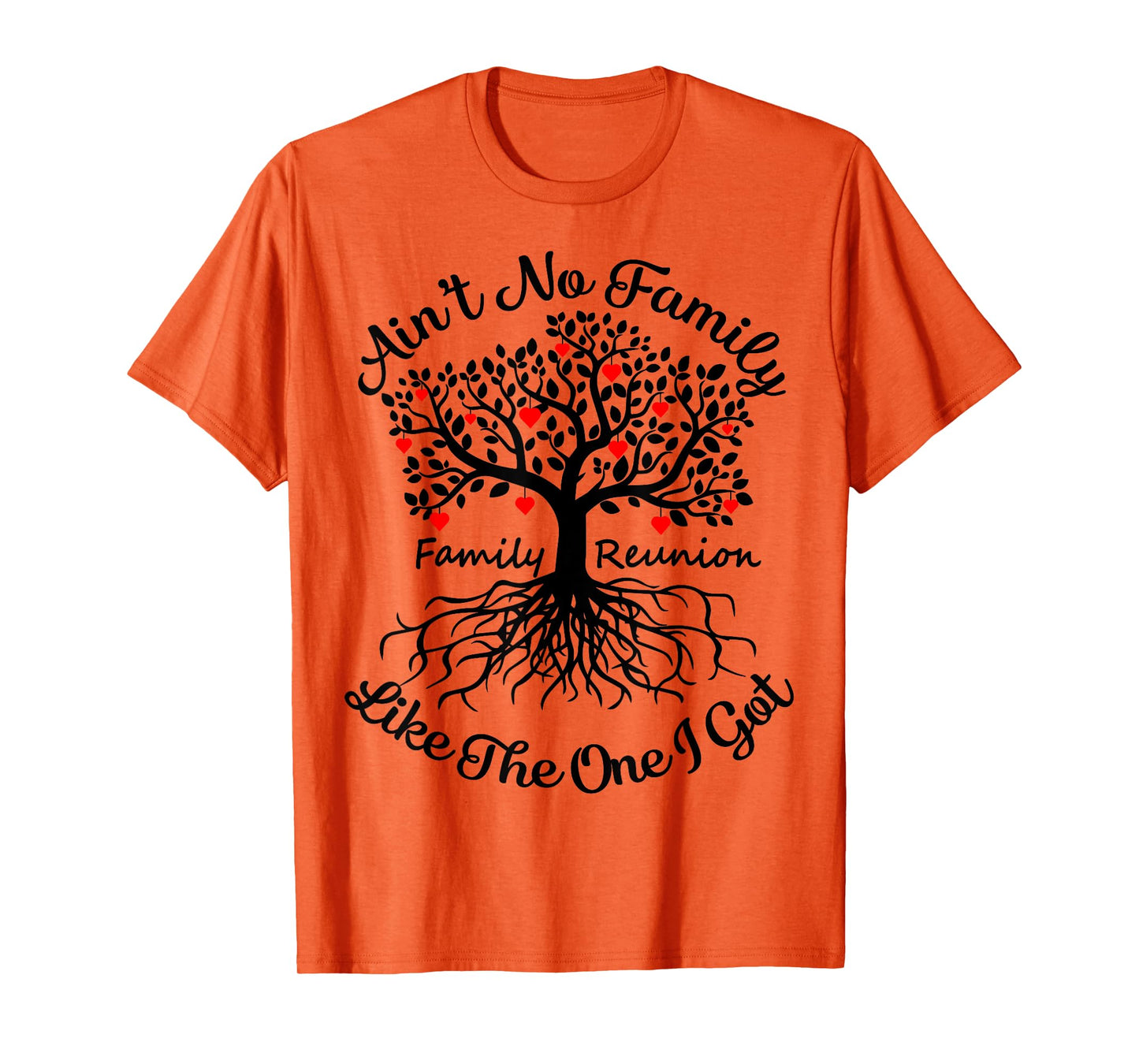 Ain't No Family Like The One I Got Matching Family Reunion T-Shirt