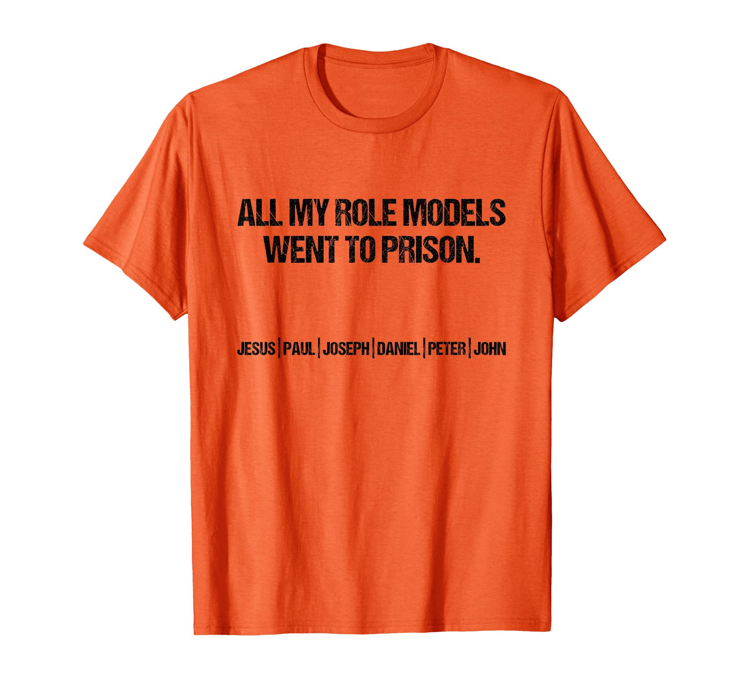 All My Role Models Went To Prison Jesus Paul John Christian T-Shirt