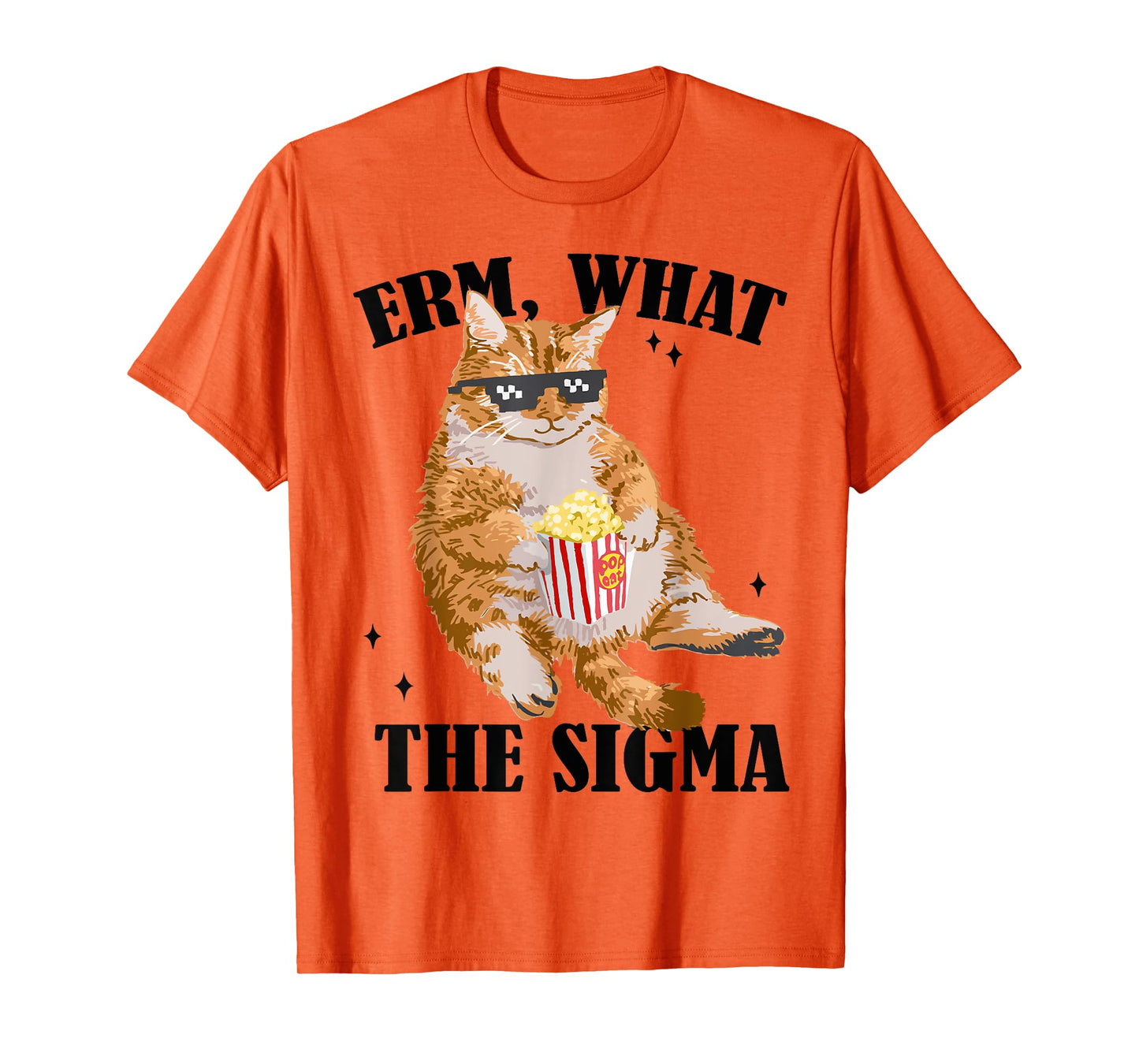 Funny Cat meme Quote Erm What Sigma For Men Women Cool Sigma T-Shirt
