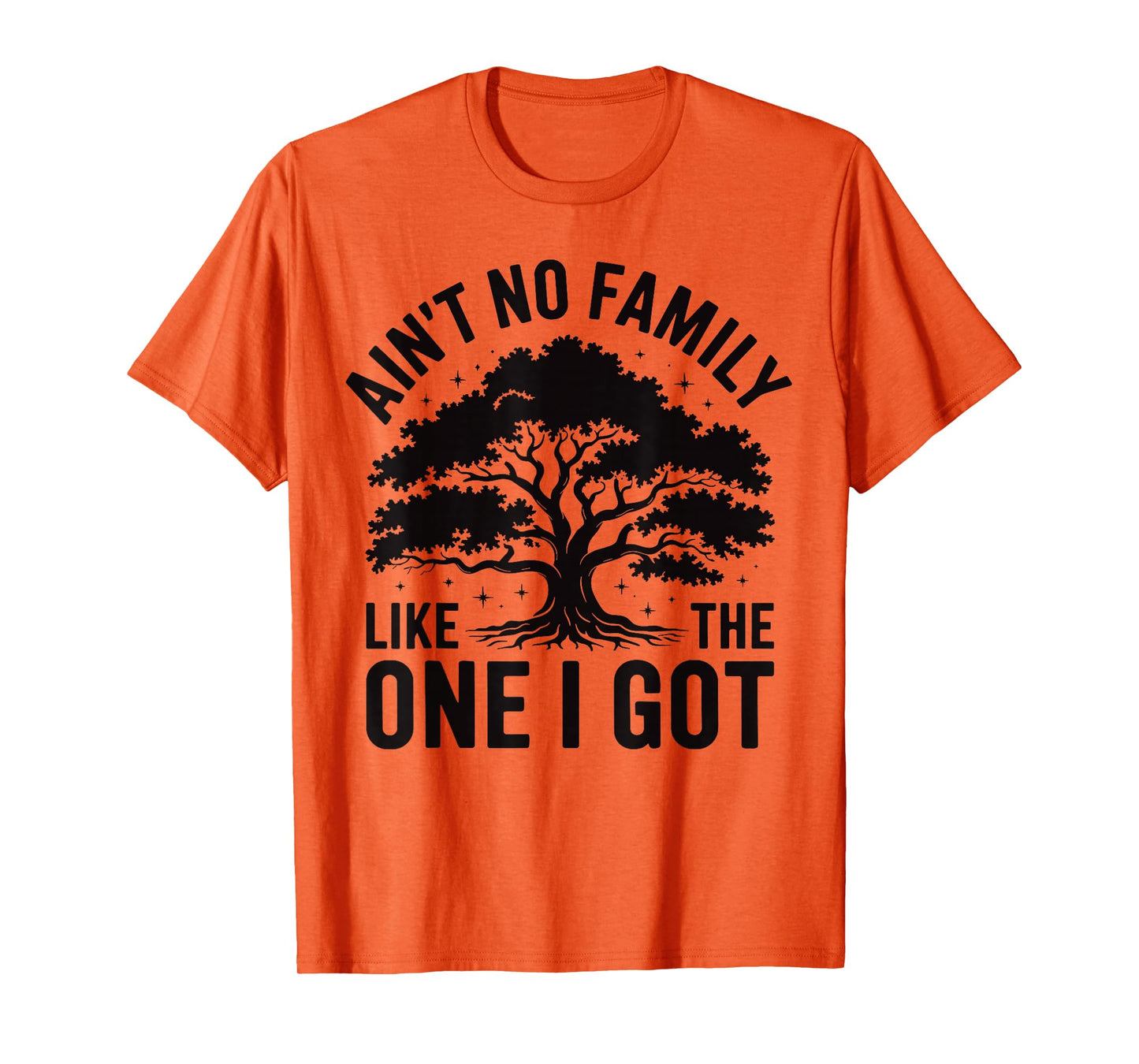 Ain't No Family Like The One I Got Cute Matching Reunion T-Shirt
