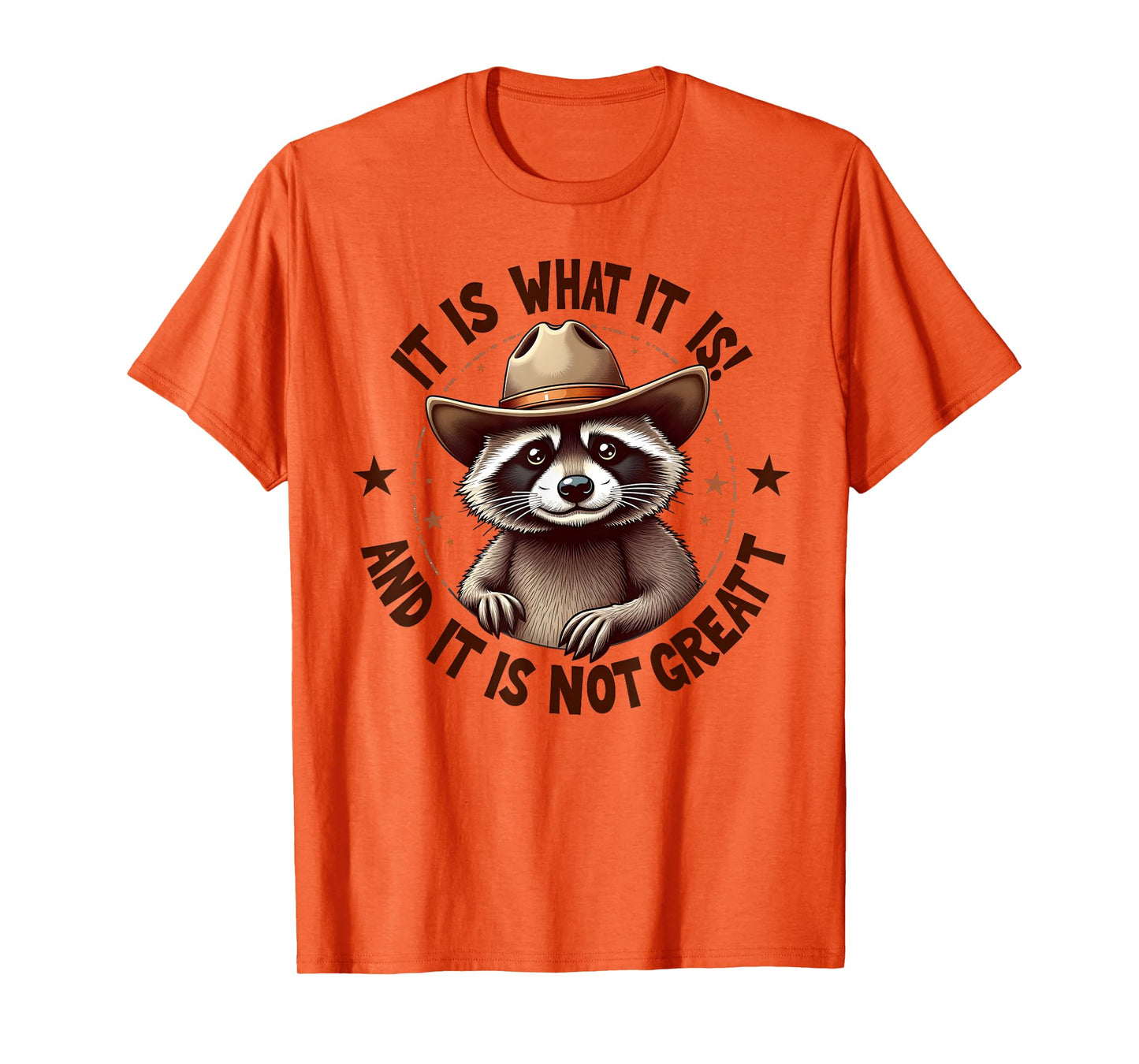 It Is What It Is And It Is Not Great Raccoon Lovers Vintage T-Shirt