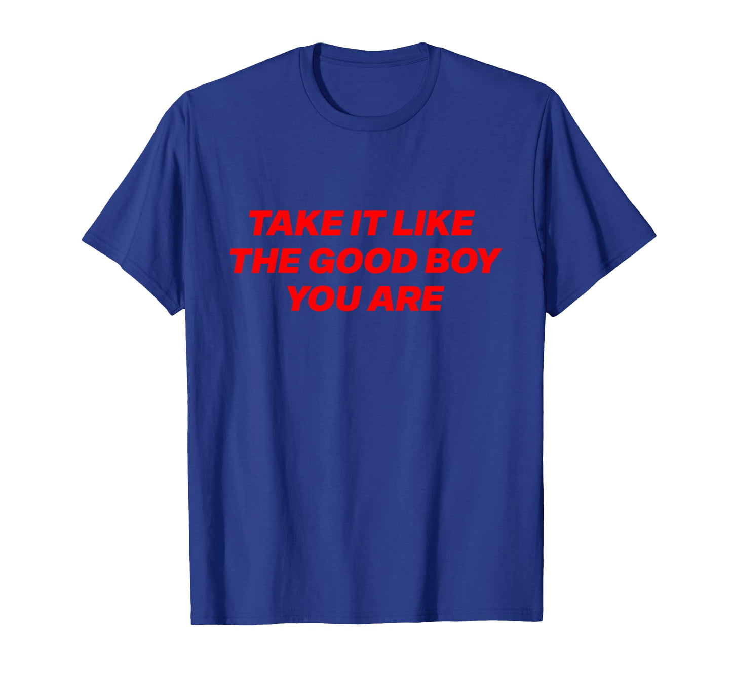 Take It Like The Good Boy You are Funny Quote T-Shirt