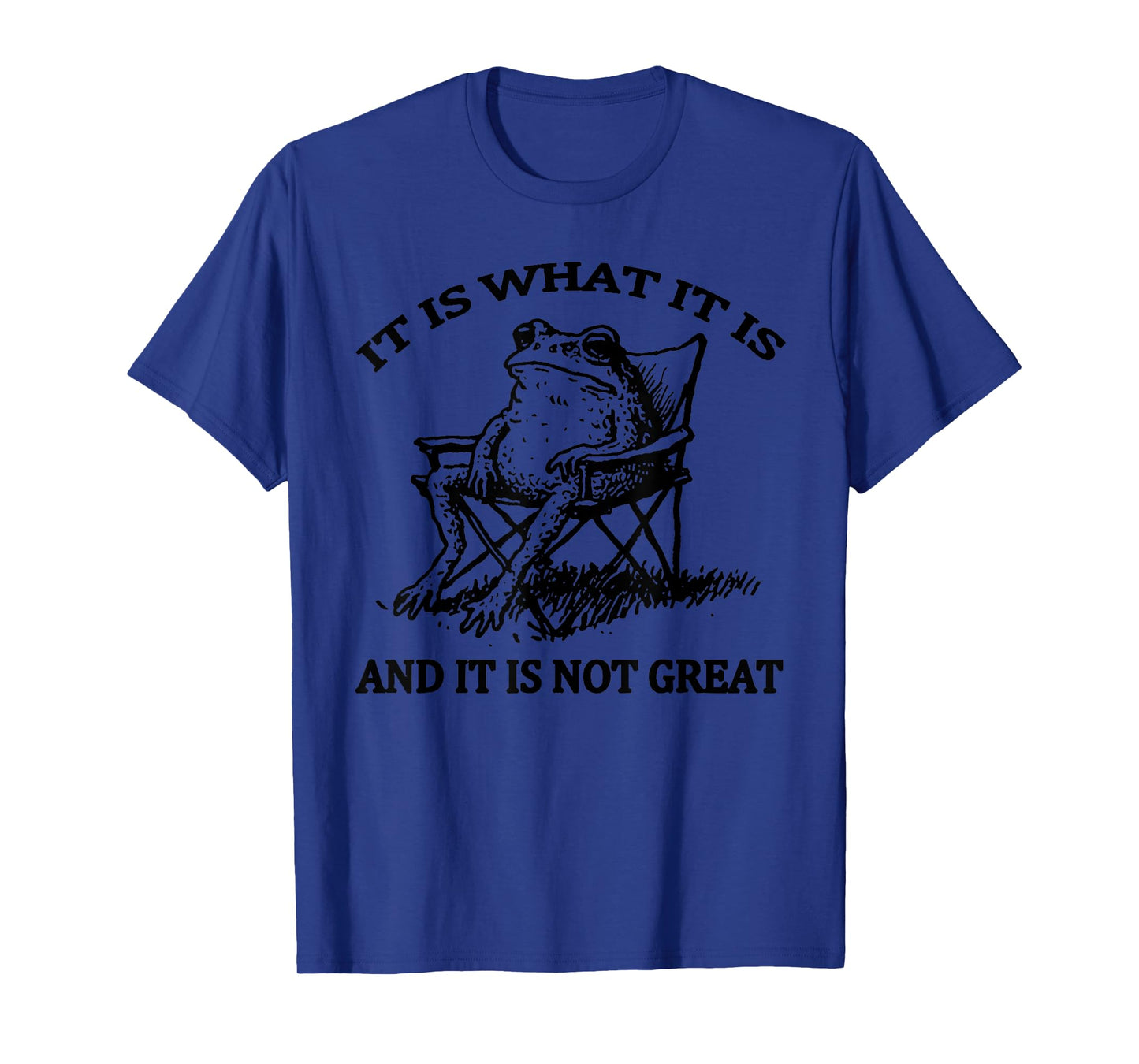 It is What It is and It is Not Great Resting Frog Meme T-Shirt
