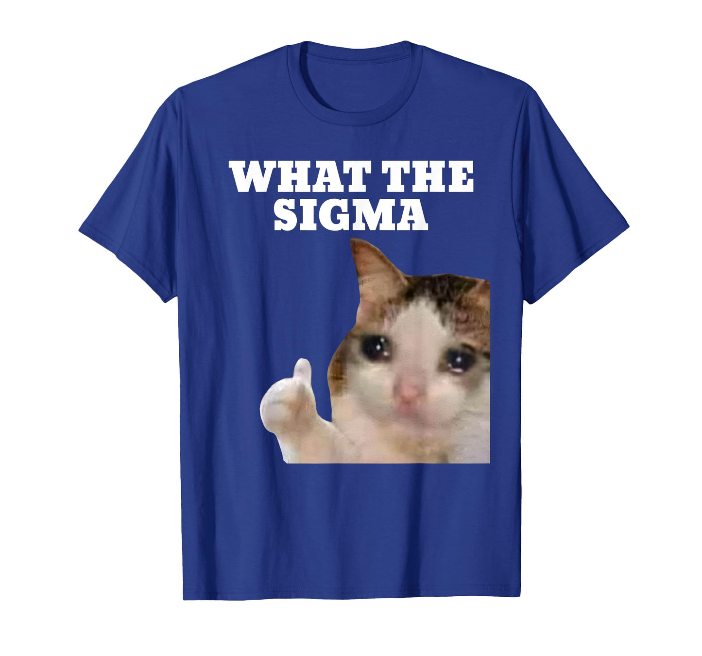 ERM What The Sigma Meme Cat Brainrot T-Shirt for Men Women Girls Kids
