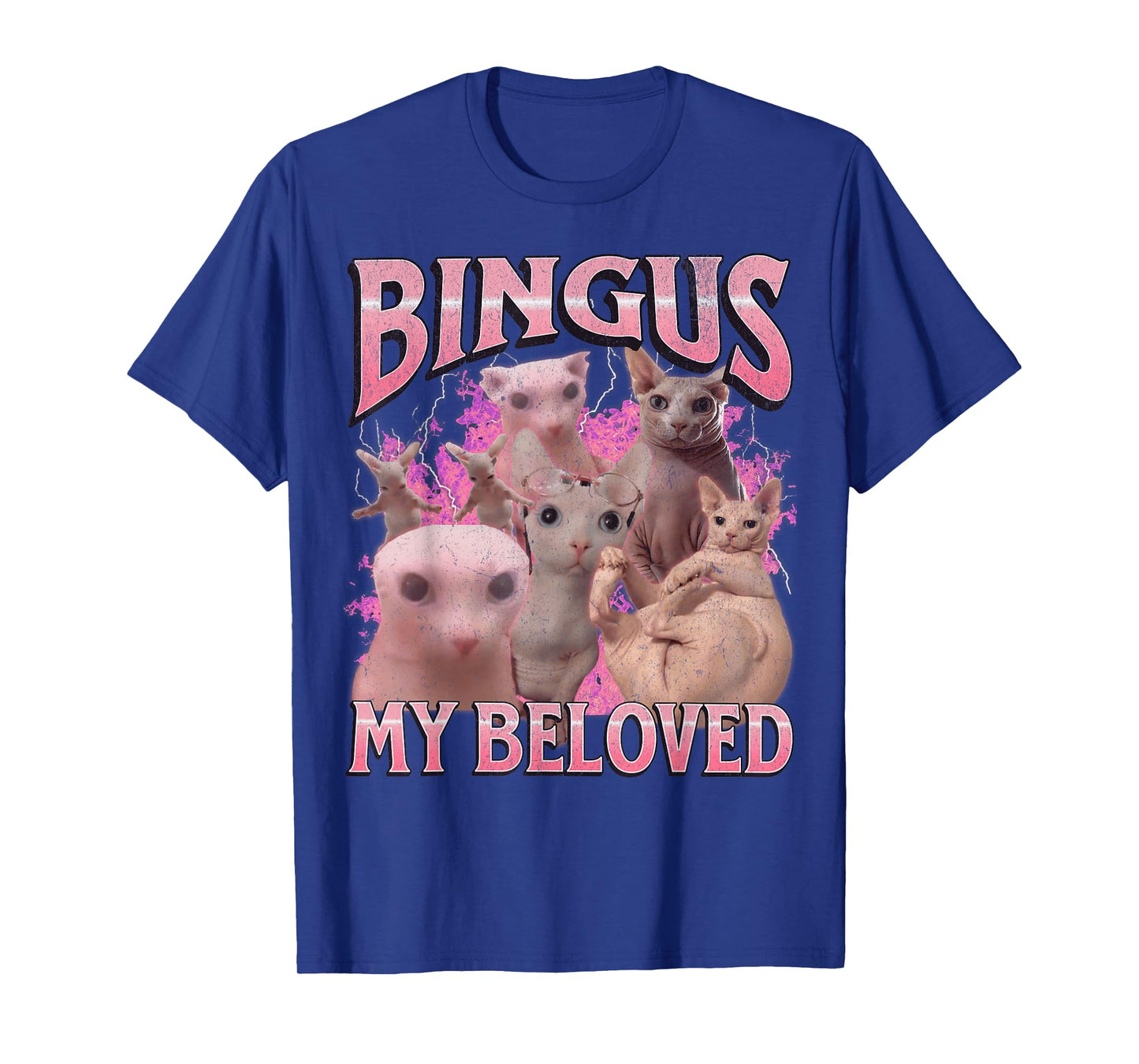Bingus My Beloved Funny Sphinx Cat Meme Bootleg Graphic T-Shirt for Men Women Kids