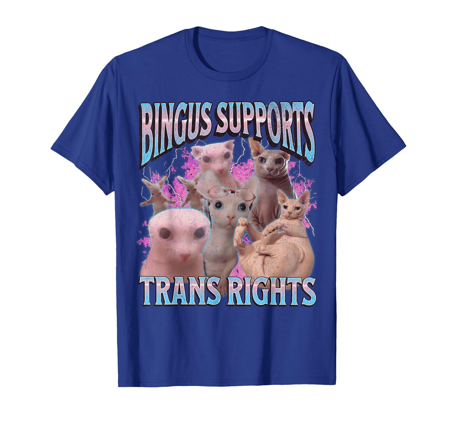 Bingus Supports Trans Rights Funny Sphinx Cat Meme Bootleg Men Women T-Shirt