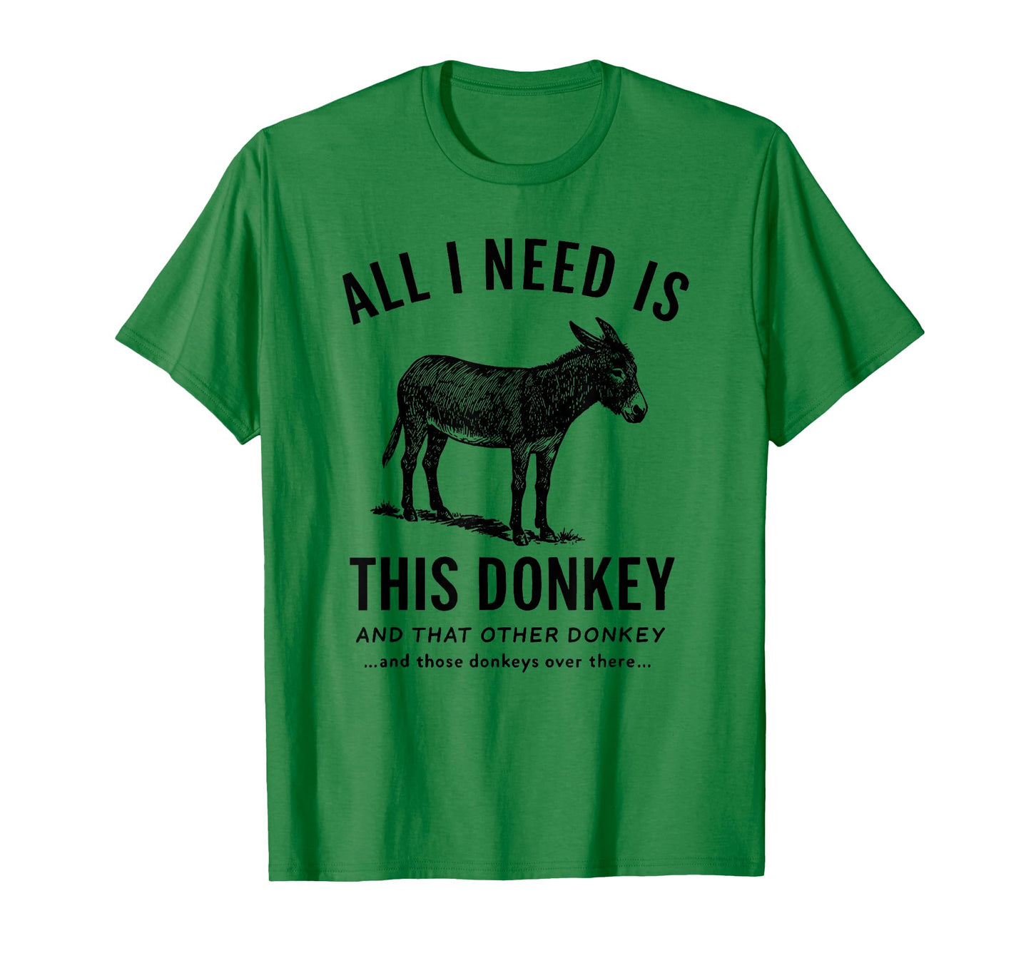 All I Need Is This Donkey Funny Vintage Animal T-Shirt