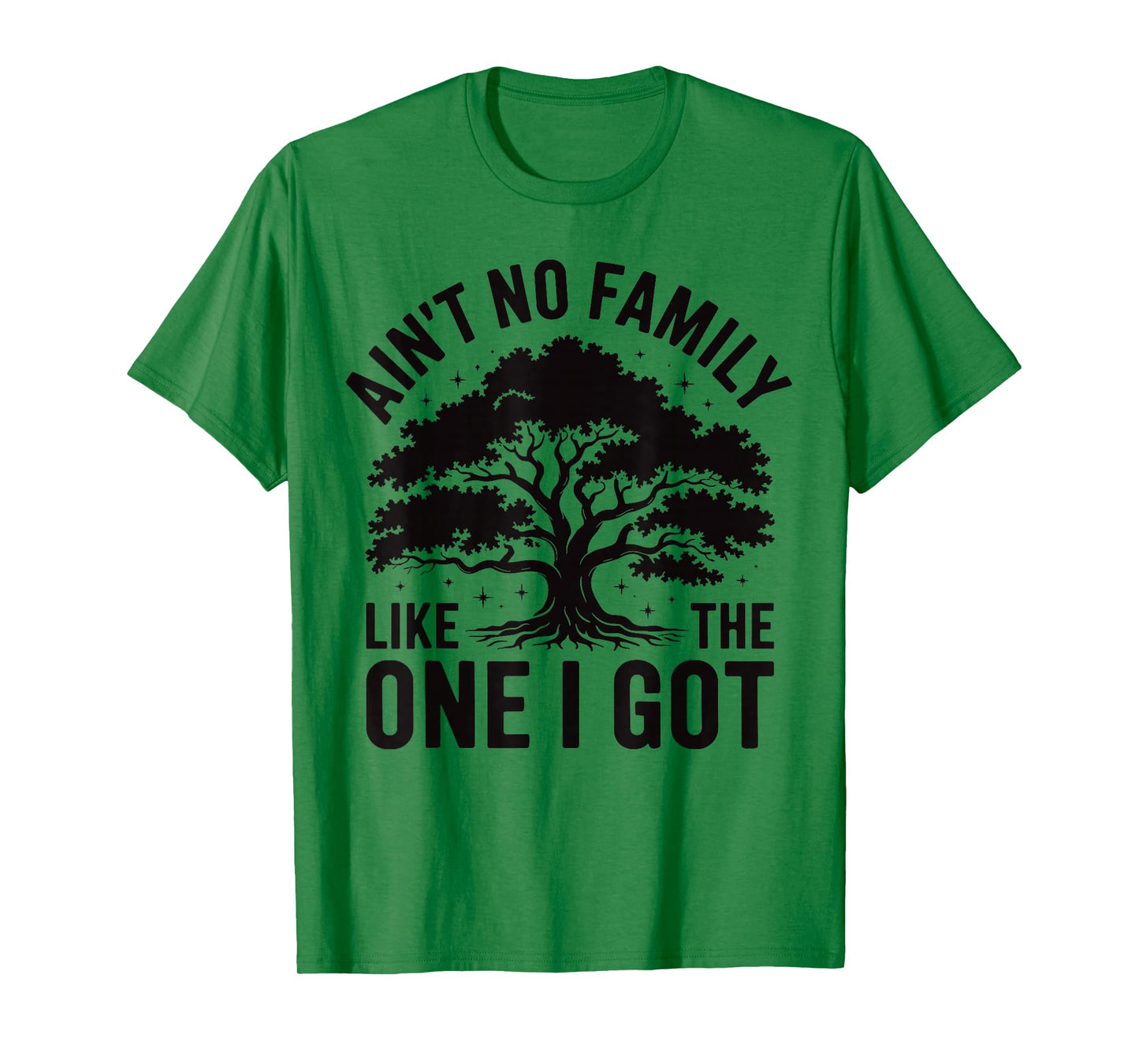 Ain't No Family Like The One I Got Cute Matching Reunion T-Shirt