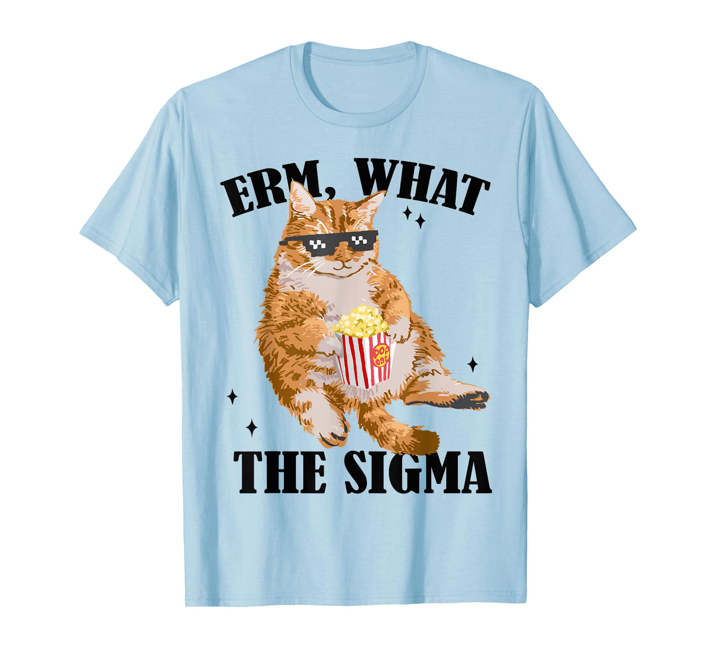 Funny Cat meme Quote Erm What Sigma For Men Women Cool Sigma T-Shirt