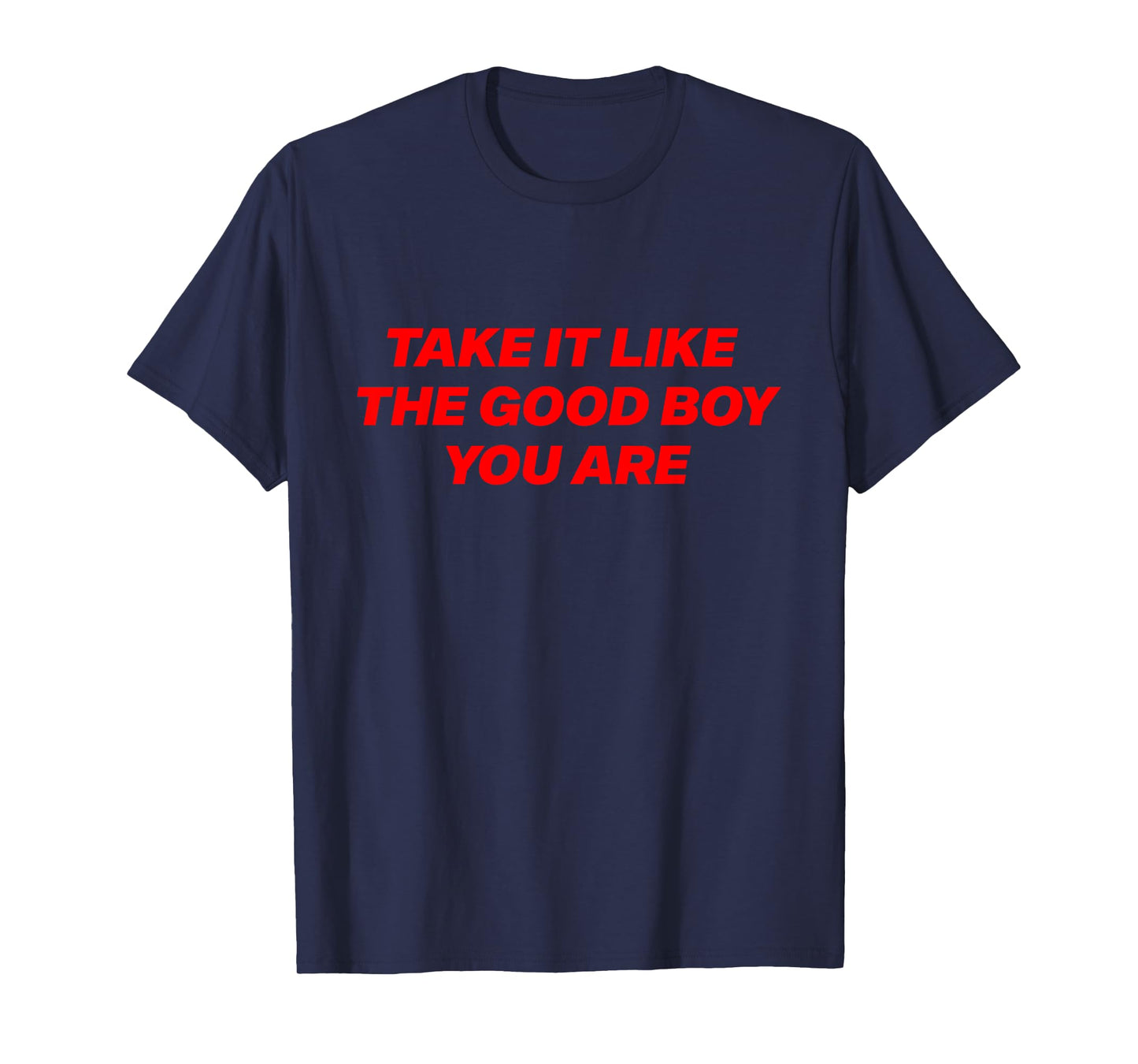 Take It Like The Good Boy You are Funny Quote T-Shirt