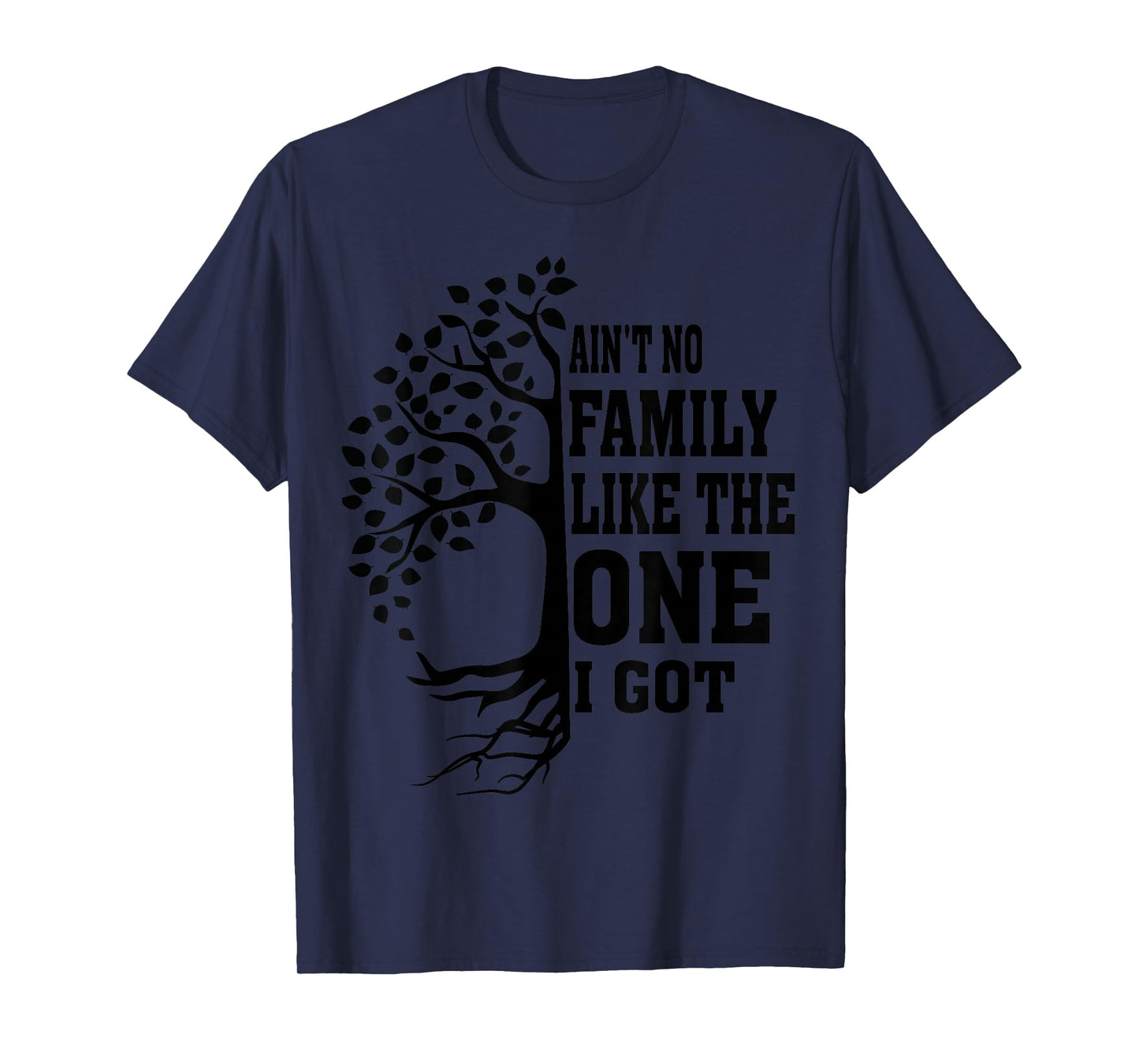 Ain't No Family Like The One I Got Funny Family Reunion T-Shirt