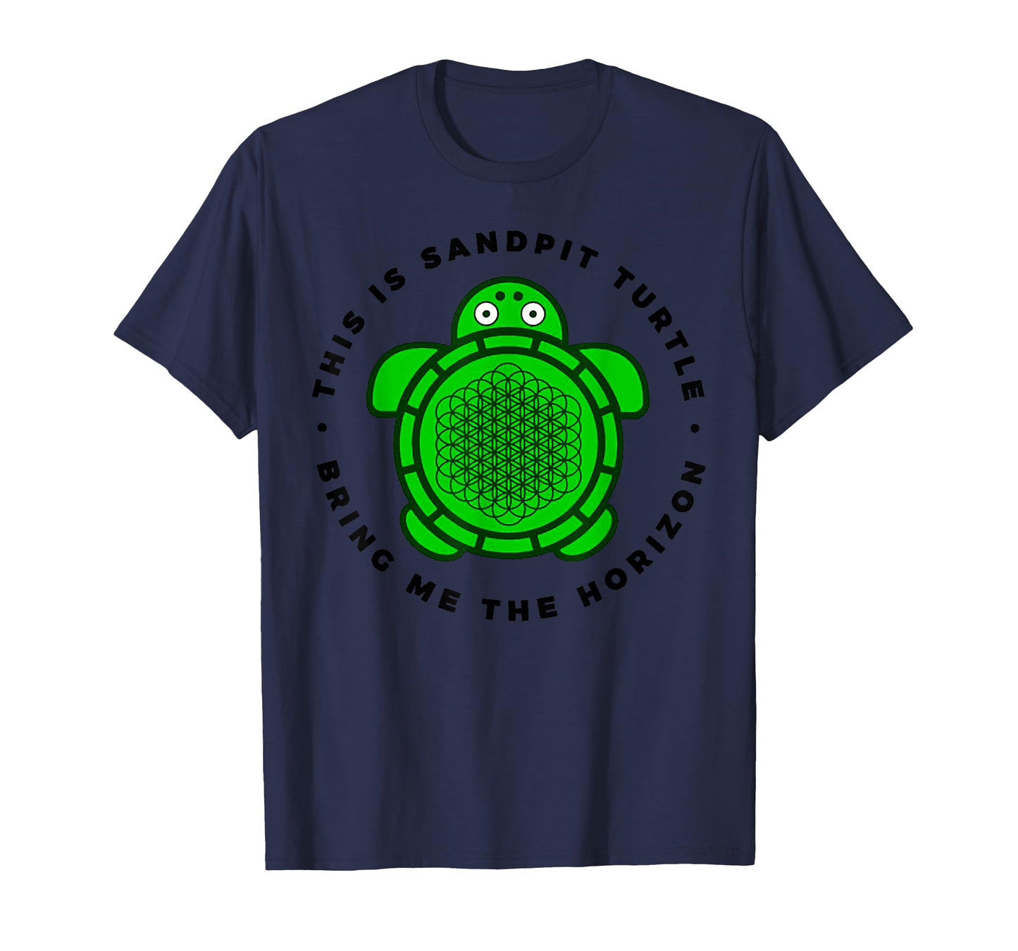 Vintage Funny This Is Sandpit Turtle Retro Animal Meme T-Shirt