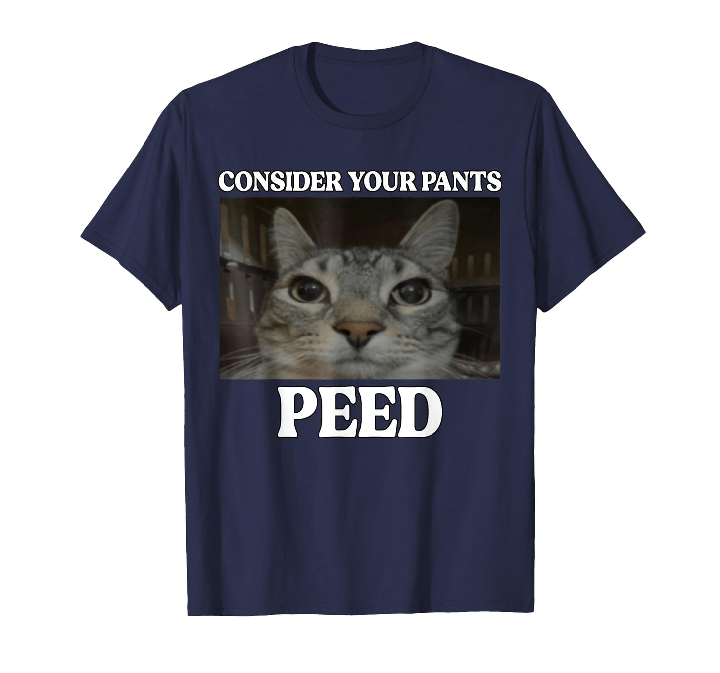 Consider Your Pants Peed Cat Funny Silly Cat Meme T-Shirt