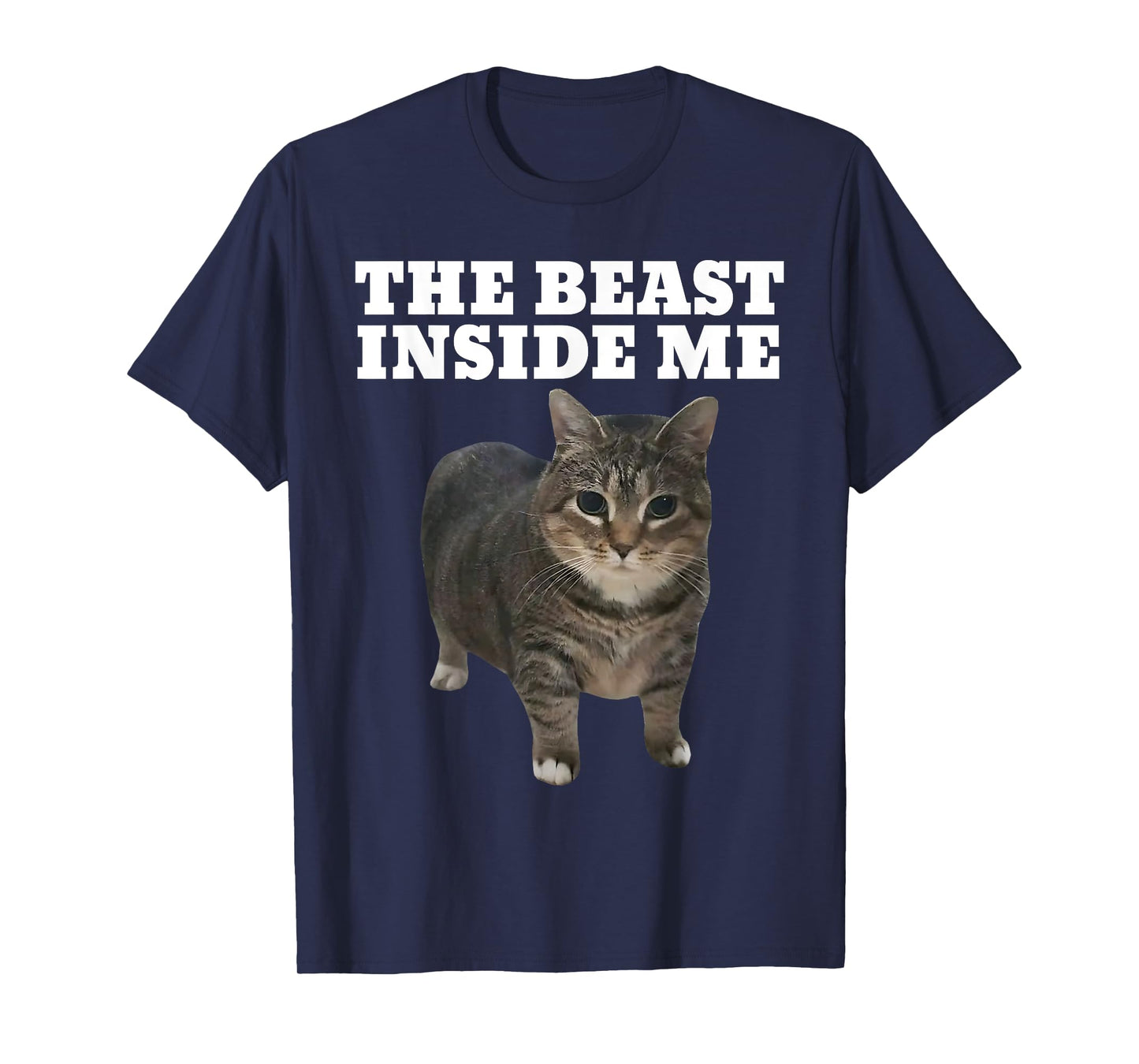 Cat Meme Beast Inside Me Funny T-Shirt
