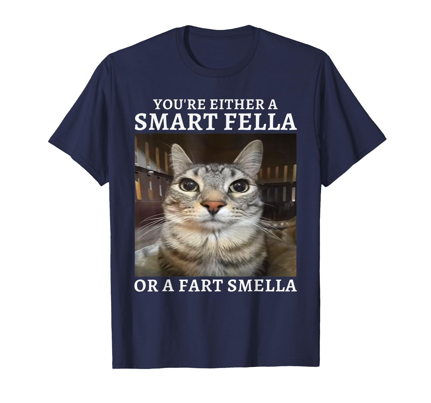 You're Either a Smart Fella or a Fart Smella Funny Cat Meme T-Shirt