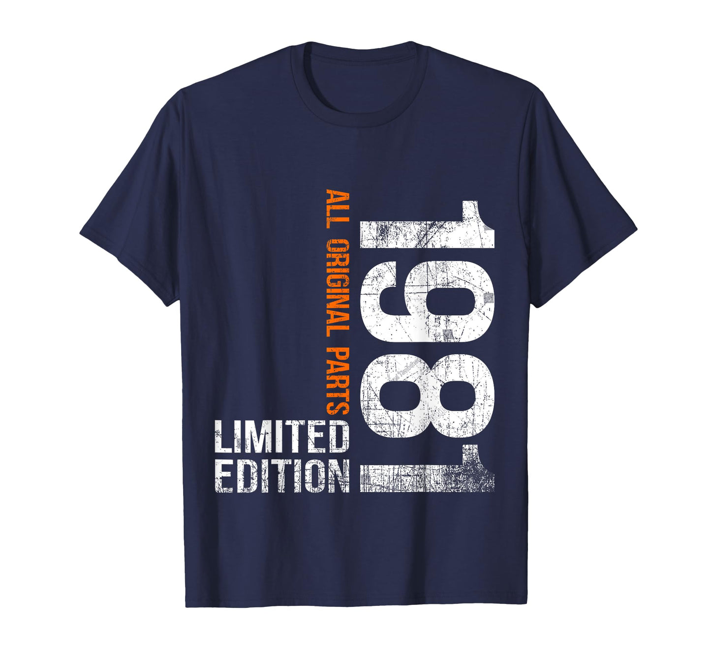 Vintage 1981 44th Birthday Gifts Men Women 44 Years Old T-Shirt