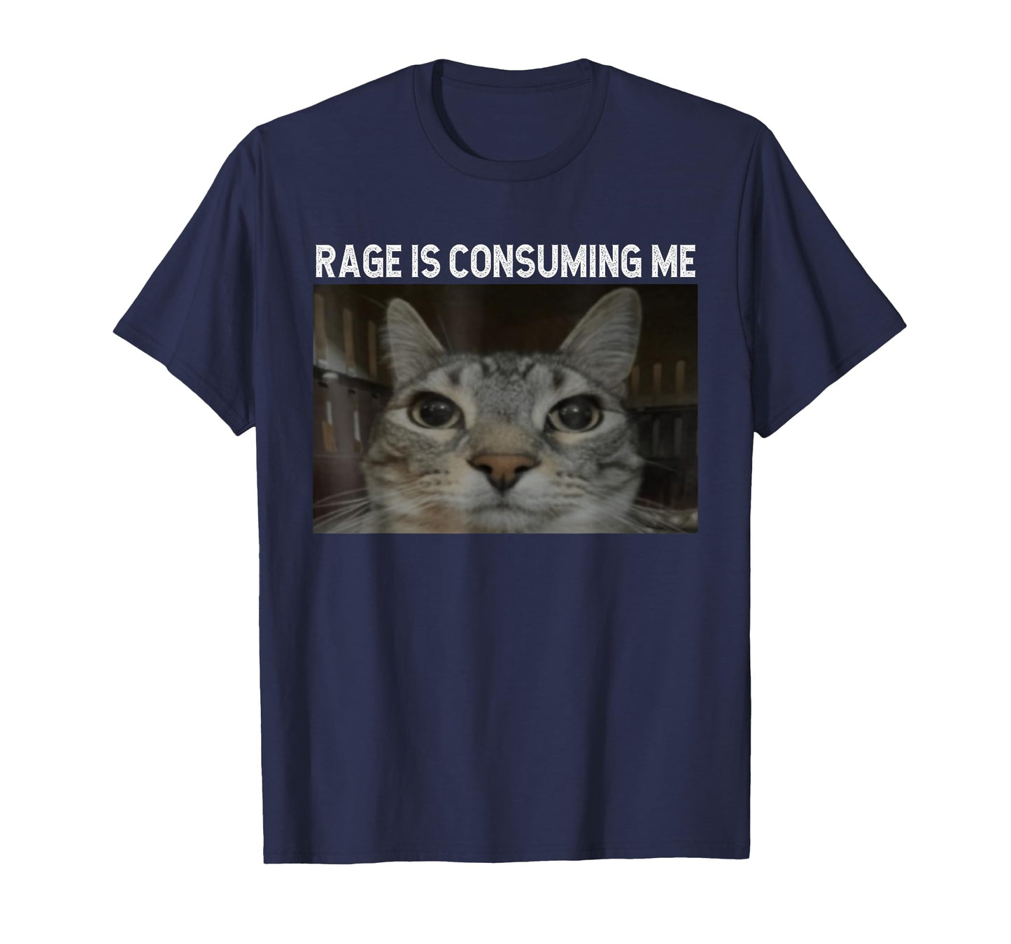 Rage Is Consuming Me Cat Meme Silly Staring Cat Funny Meme T-Shirt for Men Women Kids