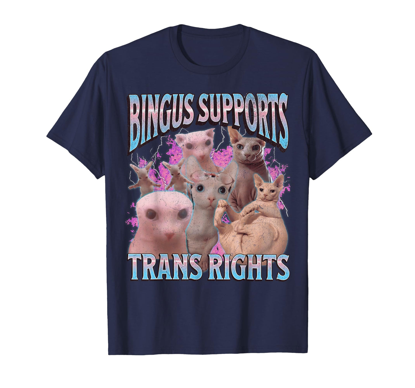 Bingus Supports Trans Rights Funny Sphinx Cat Meme Bootleg Men Women T-Shirt