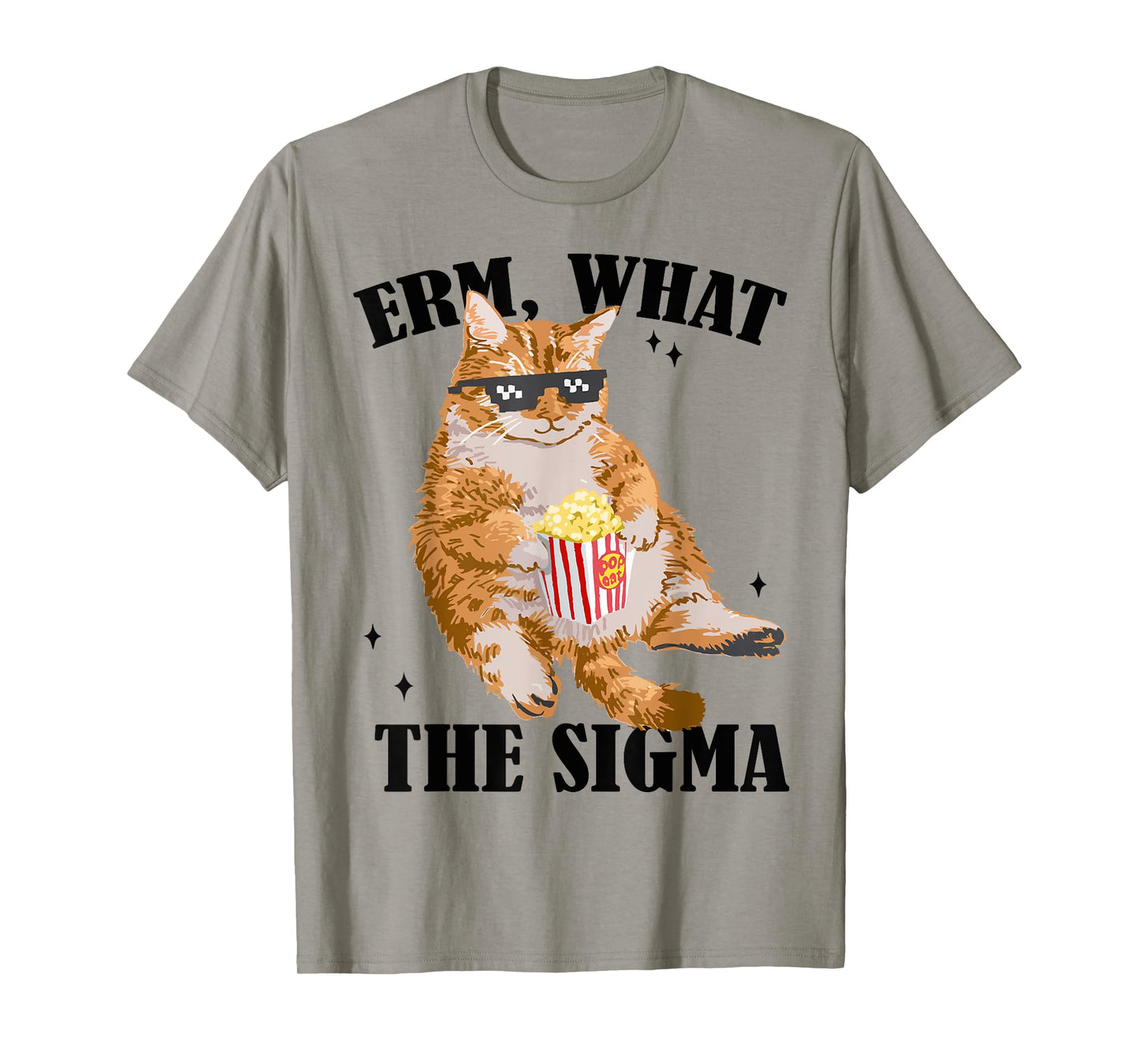 Funny Cat meme Quote Erm What Sigma For Men Women Cool Sigma T-Shirt