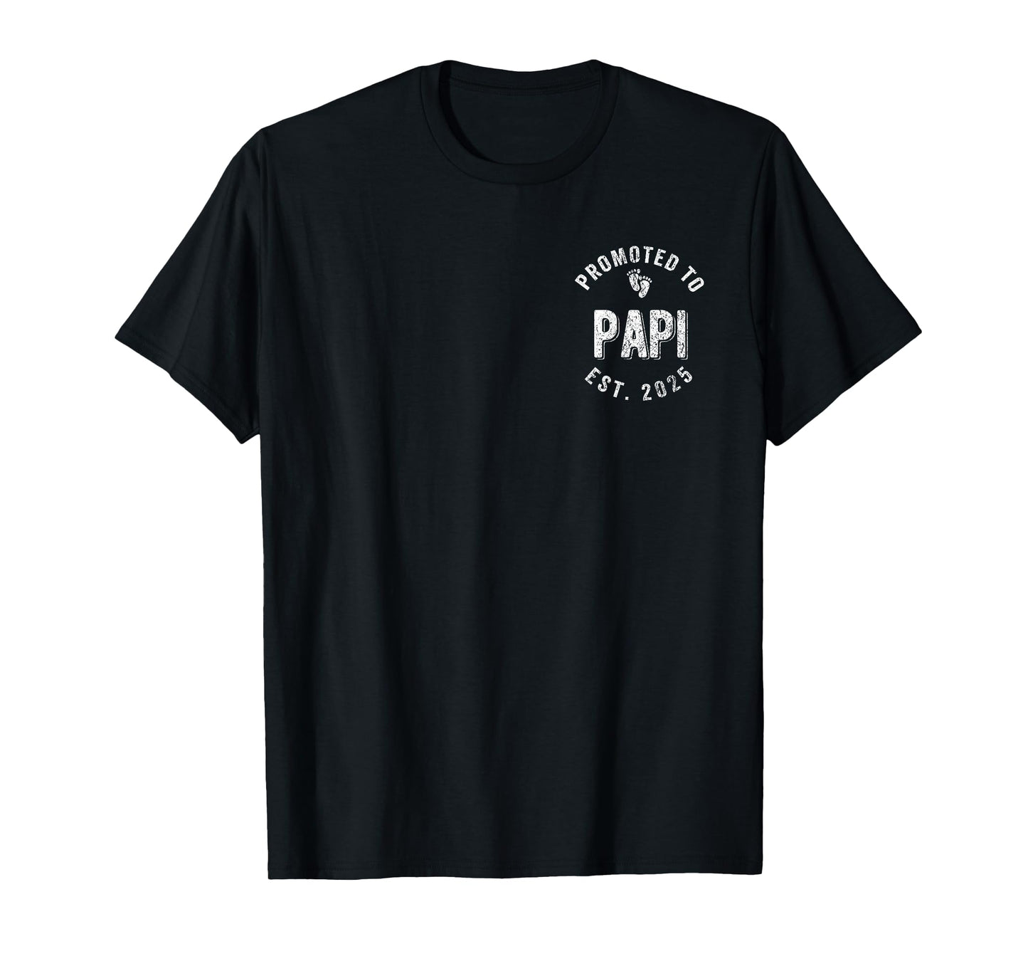 Promoted To Papi Est. 2025 First Time Grandpa T-Shirt