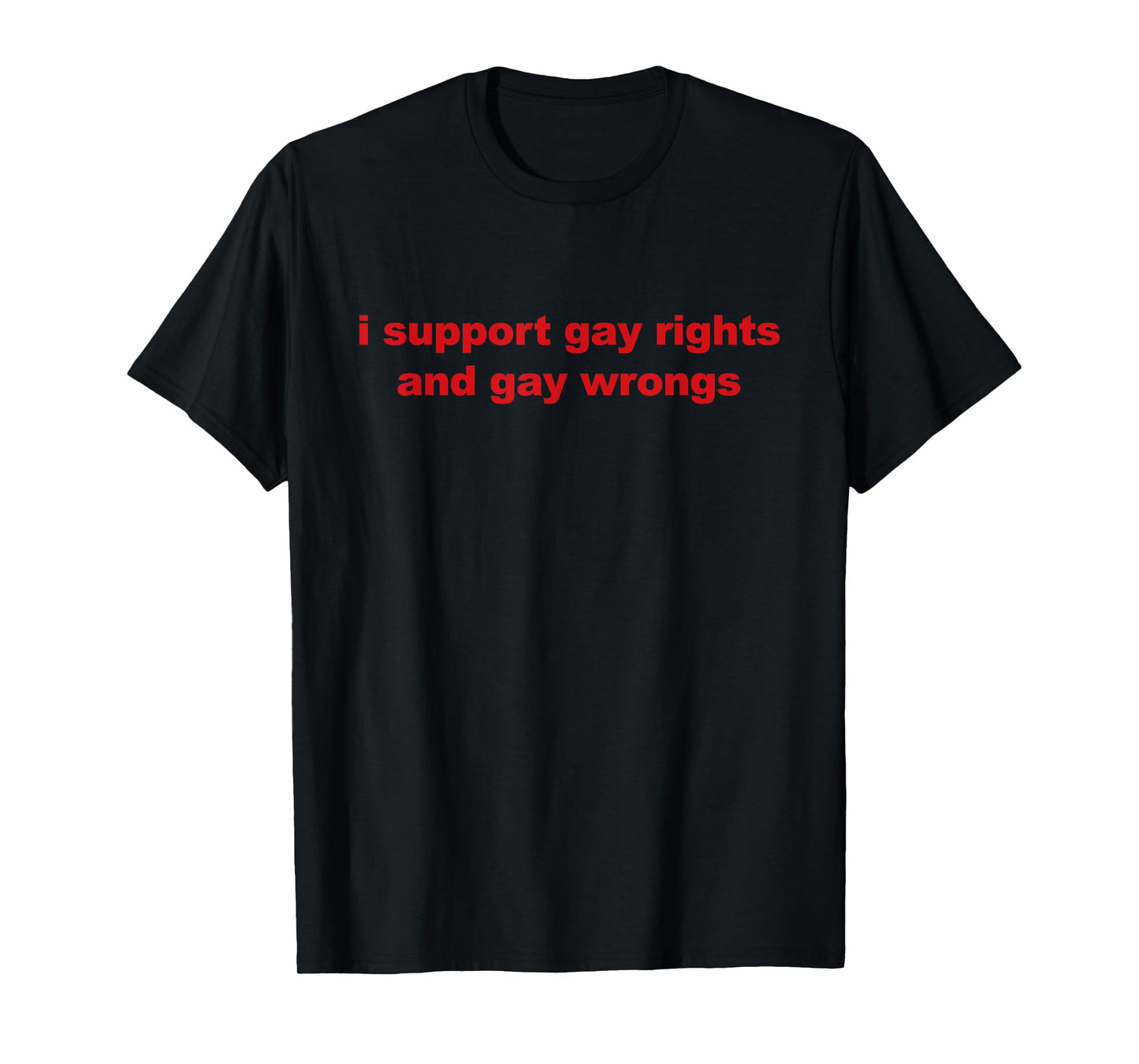 I Support Gay Rights And Gay Wrong Funny LGBT Quote T-Shirt