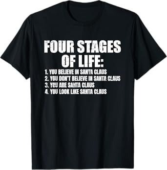 Four Stages Of Life Santa Fathers Day Funny Dad Papa Grandpa T-Shirt