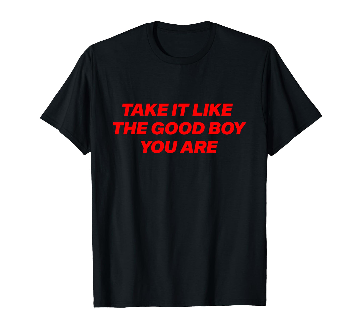 Take It Like The Good Boy You are Funny Quote T-Shirt
