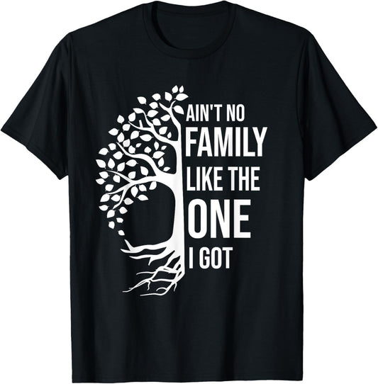 Ain't No Family Like The One I Got Funny Family Reunion 2025 T-Shirt