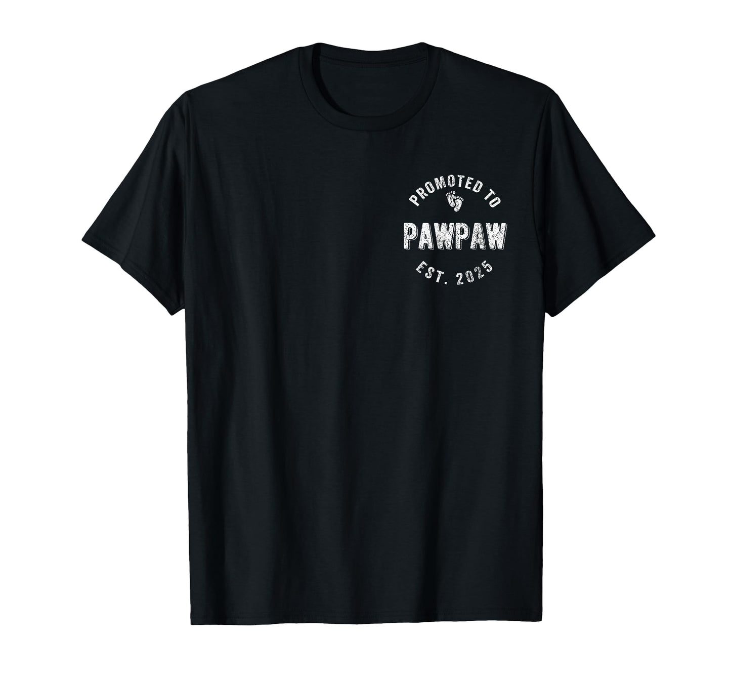 Promoted To Paw Paw Est. 2025 First Time Grandpa T-Shirt