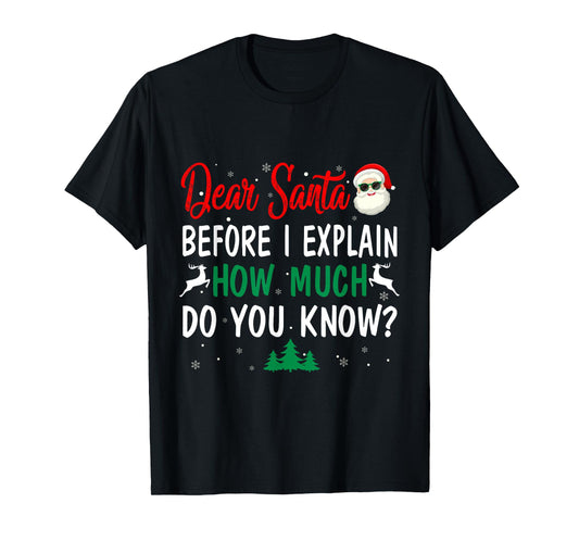 Funny Christmas Pajama Kids Adult Dear Santa I Can Explain T-Shirt