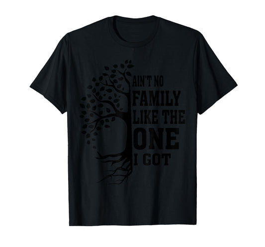 Ain't No Family Like The One I Got Funny Family Reunion T-Shirt
