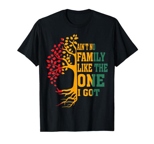 Ain't No Family Like The One I Got Funny Family Reunion 2024 T-Shirt