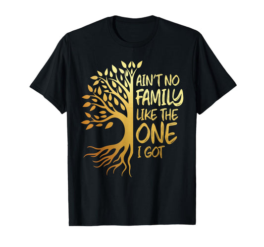 Ant no family like the one i got family tree reunion 2024 T-Shirt