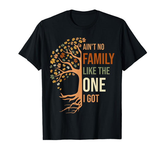 Ain't No Family Like The One I Got Funny Family Reunion T-Shirt