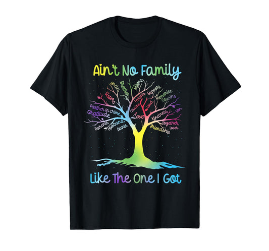 Ain't No Family Like The One IGot Matching Family Reunion T-Shirt
