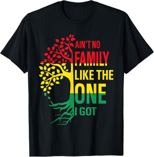 Ain't No Family Like The One I Got Funny Family Reunion 2025 T-Shirt