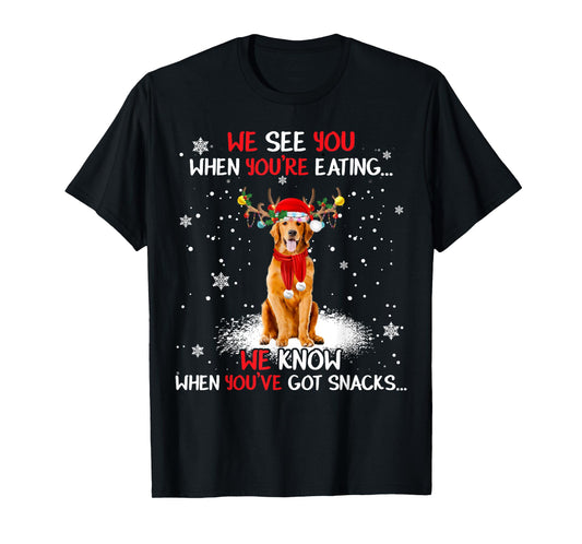 Santa Golden Retriever Reindeer Light Christmas Pajama T-Shirt