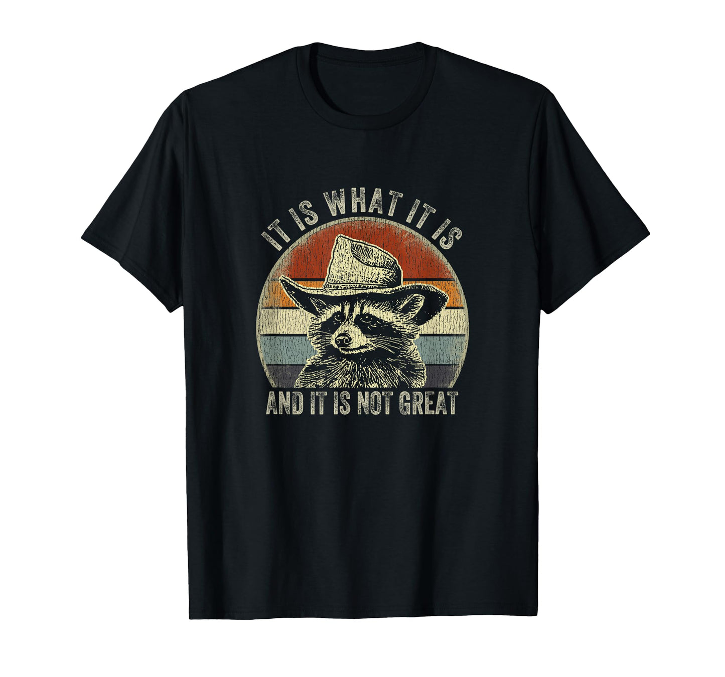 It Is What It Is And It Is Not Great Raccoon Trash Panda T-Shirt