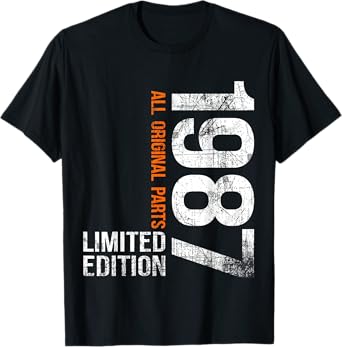 Vintage 1987 38th Birthday Gifts Men Women 38 Years Old T-Shirt