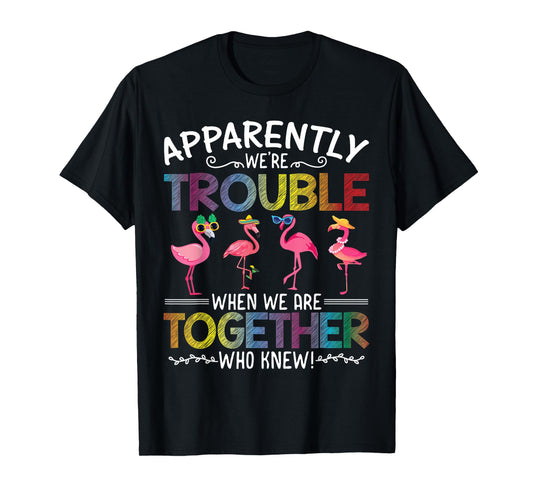 Apparently We're Trouble When We are Together Who Knew Funny T-Shirt