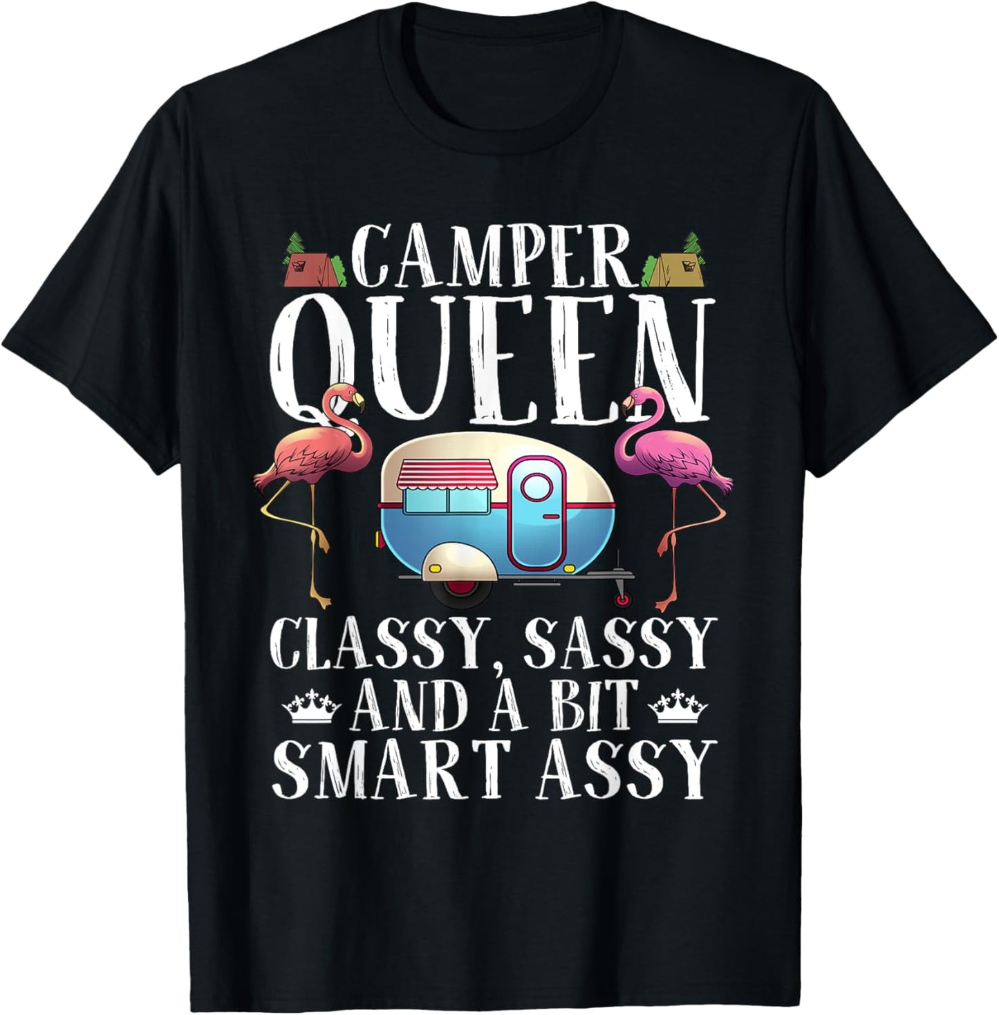 Funny Camper Queen Sassy Gift For Women RV Camping Lovers T-Shirt