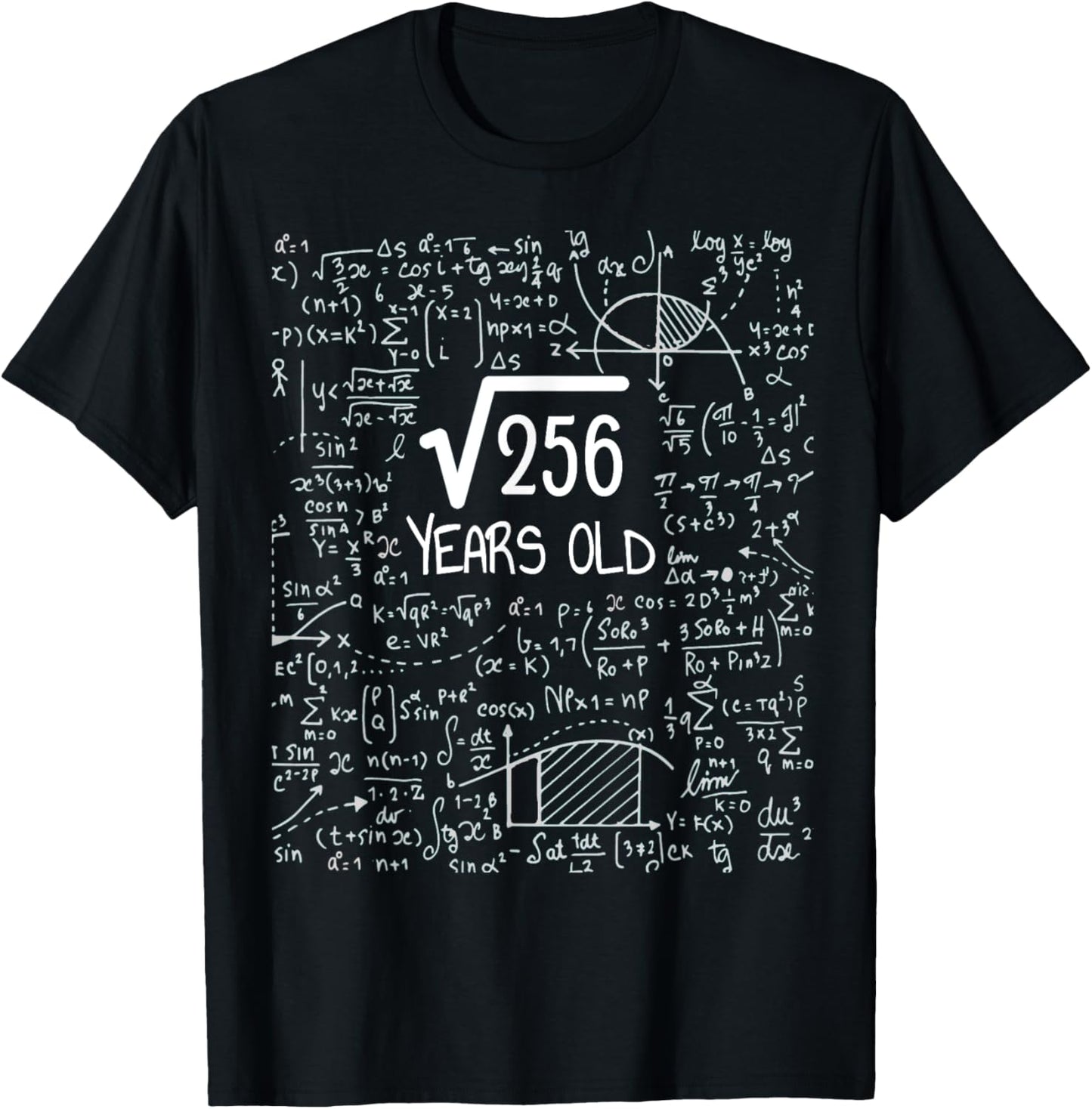 16th Birthday Square Root of 256: 16 Years Old T-Shirt
