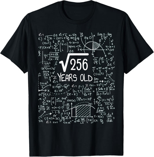16th Birthday Square Root of 256: 16 Years Old T-Shirt