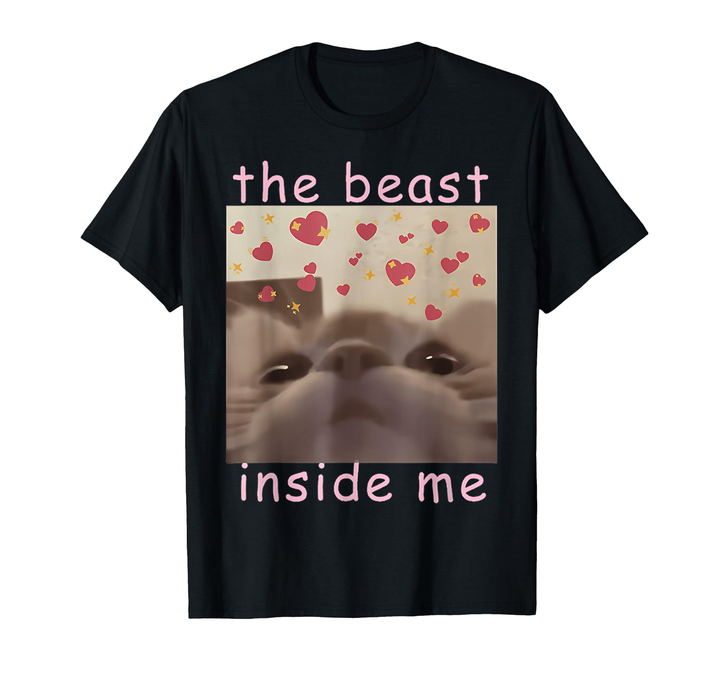 Funny Cat Meme Beast Inside Me Sarcastic Inappropriate T-Shirt