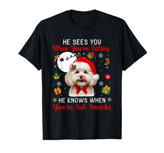 He Sees When You're Eating Snacks Xmas Maltipoo Owner Family T-Shirt