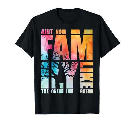 Ain't No Family Like The One I Got Funny Family Reunion T-Shirt