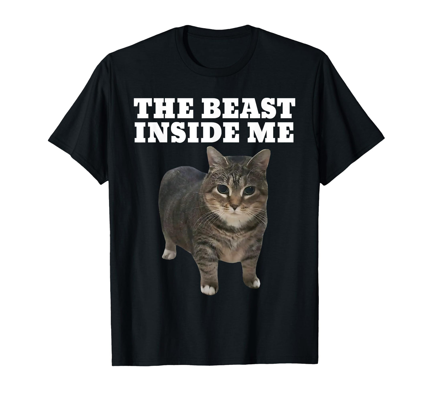 Cat Meme Beast Inside Me Funny T-Shirt
