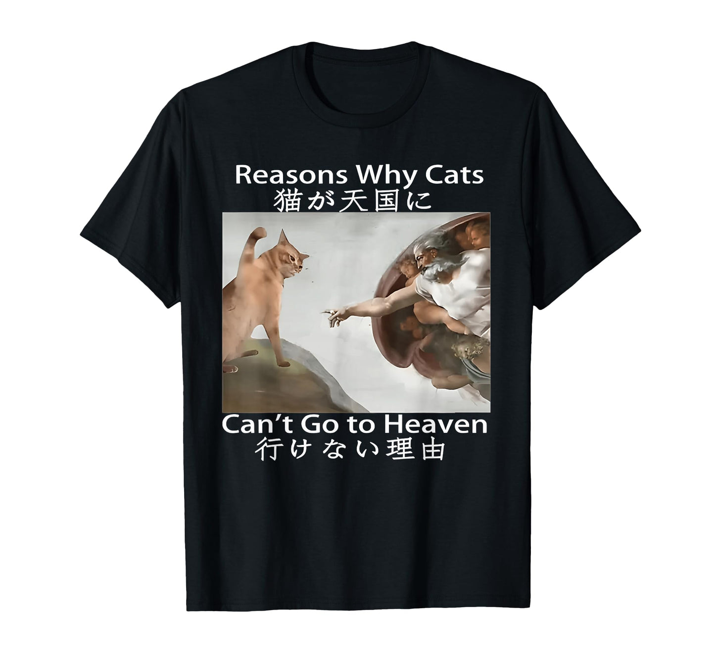 Reasons Why Cats Can’t Go To Heaven Funny Meme T-Shirt